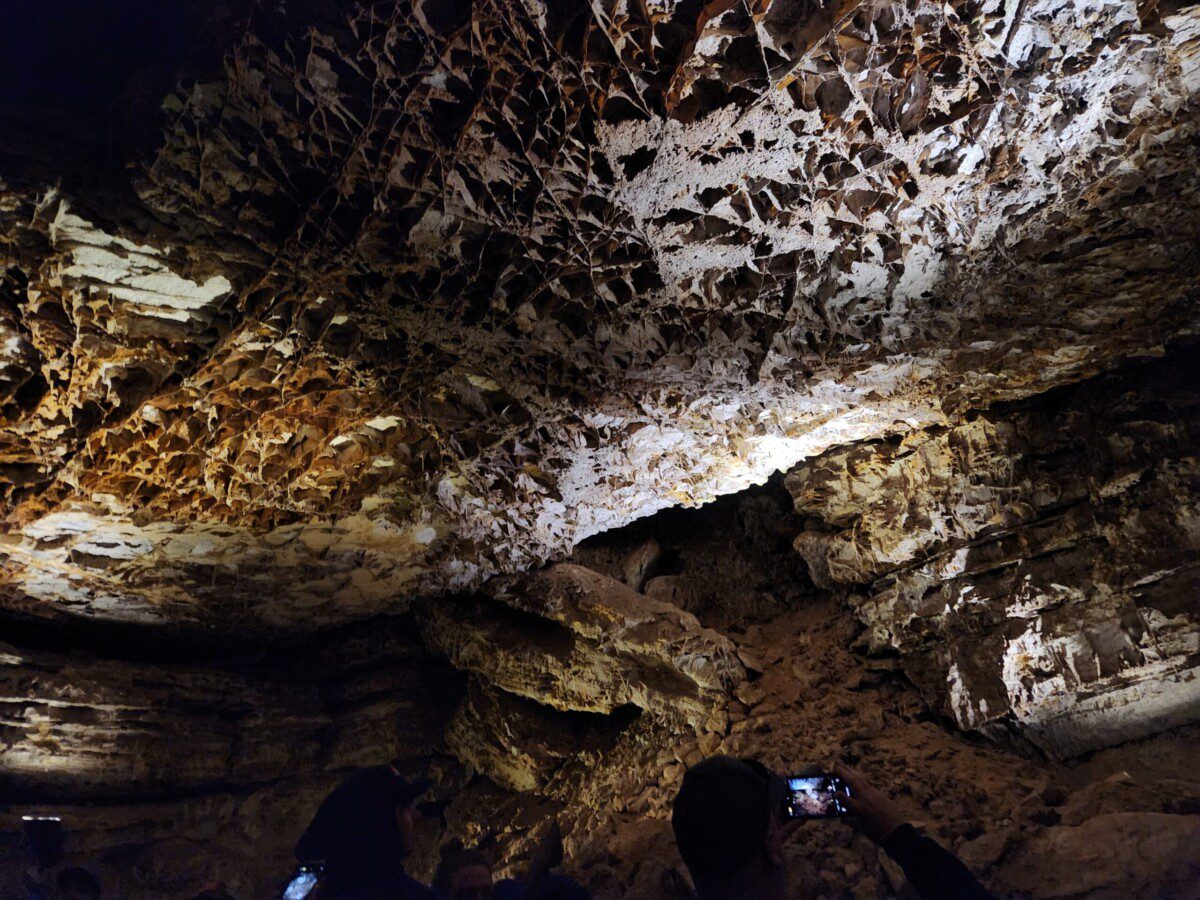 Exploring Wind Cave National Park: What to See, Do, and Know