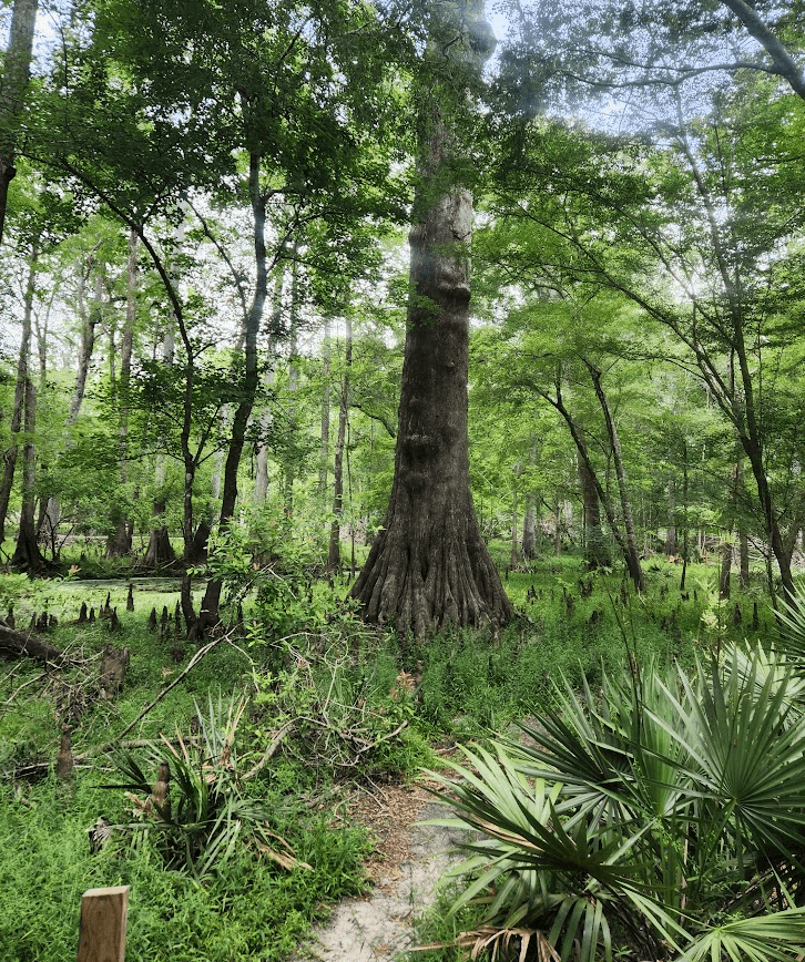 The Three Types of Hikers: Which One Are You?