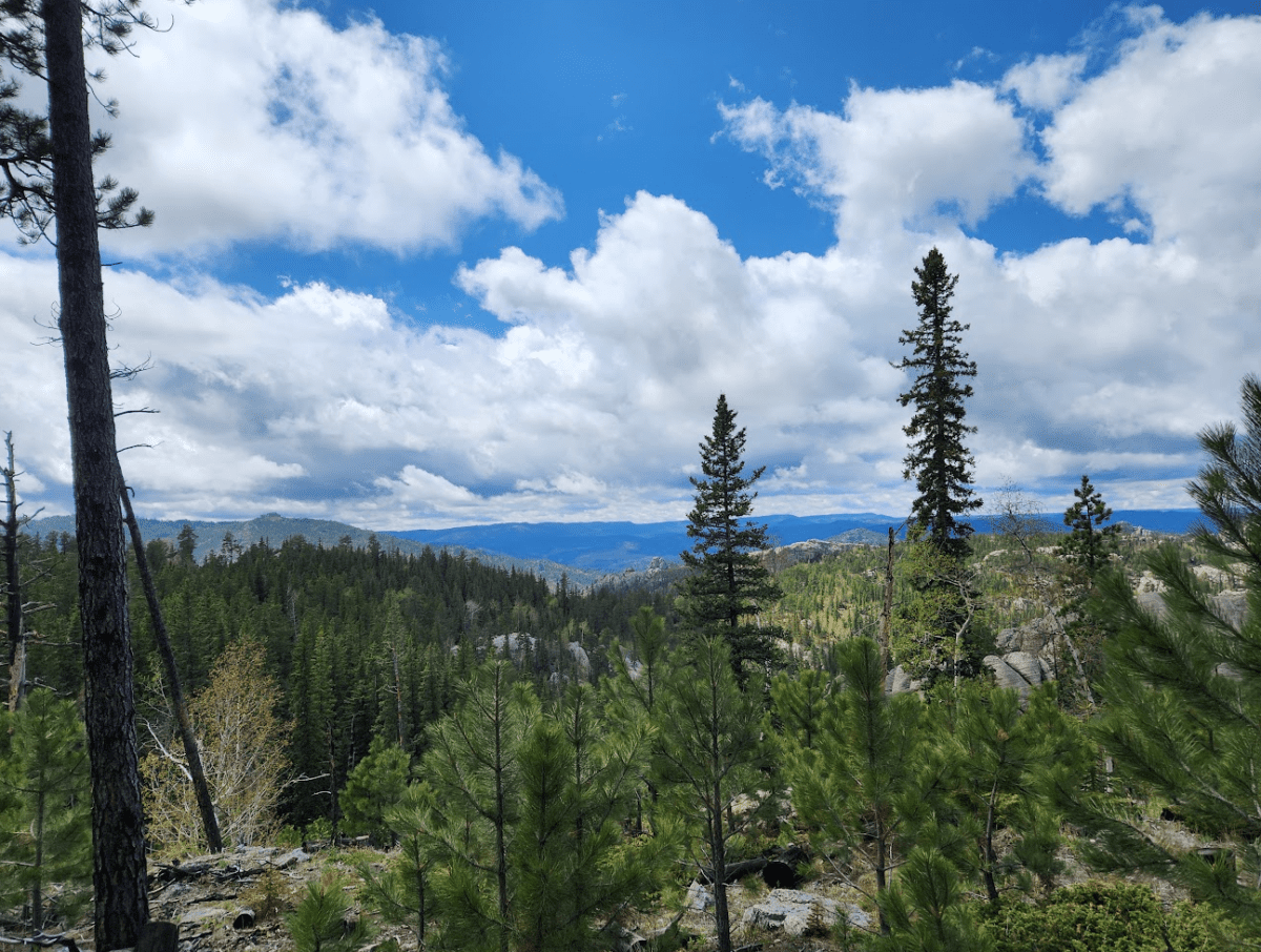 Our South Dakota Trip: 5 Days in the Black Hills