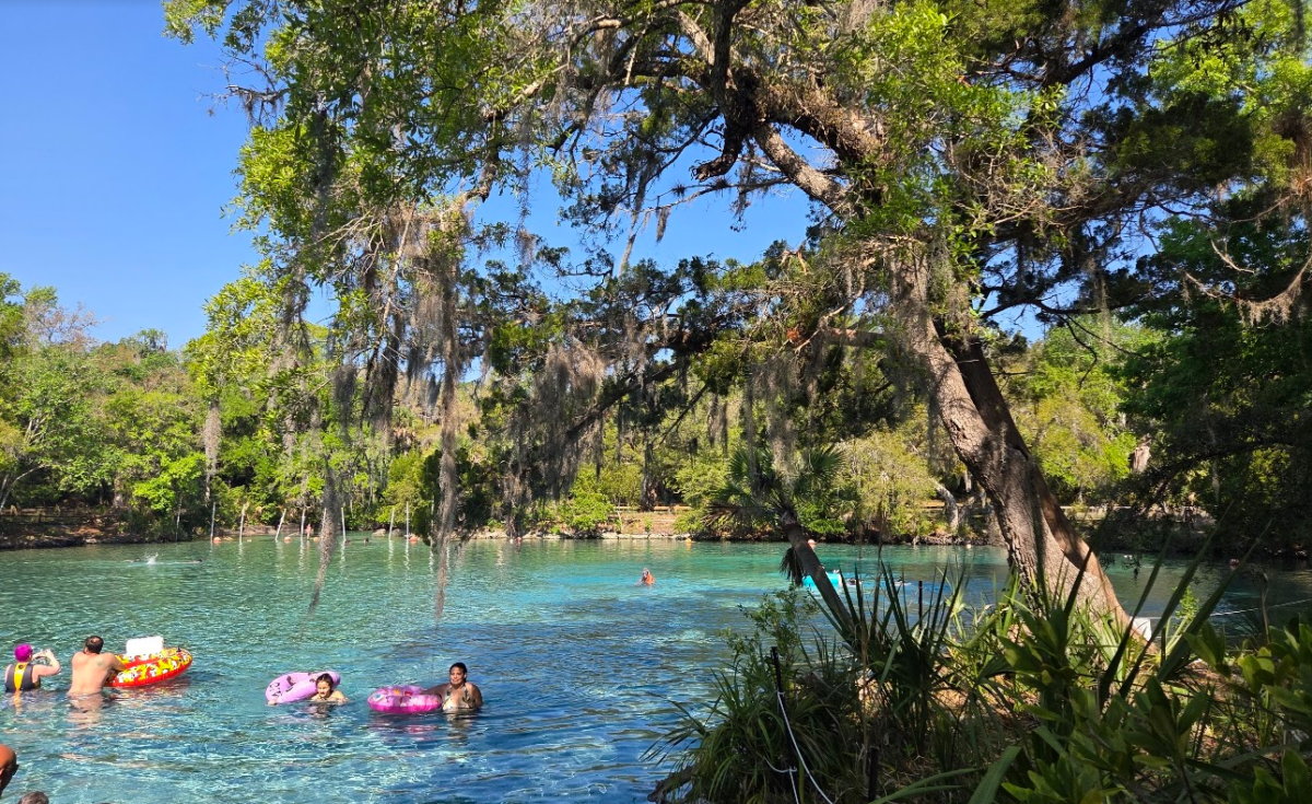 Silver Glen Springs Florida: Ultimate Guide for Your Visit