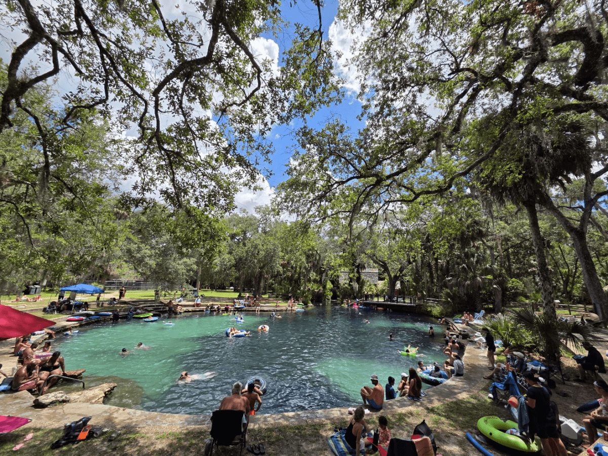 Juniper Springs Florida Guide: Swimming, Kayaking & American Eels