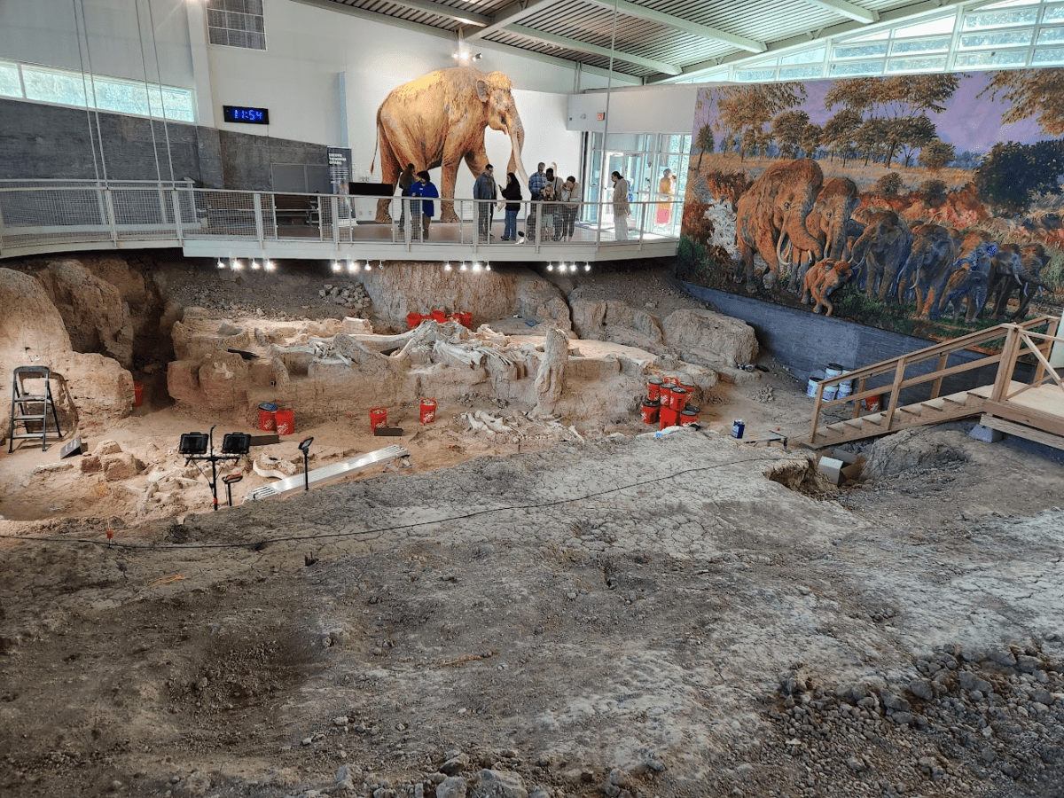 Waco Mammoth National Monument: What to See & Know