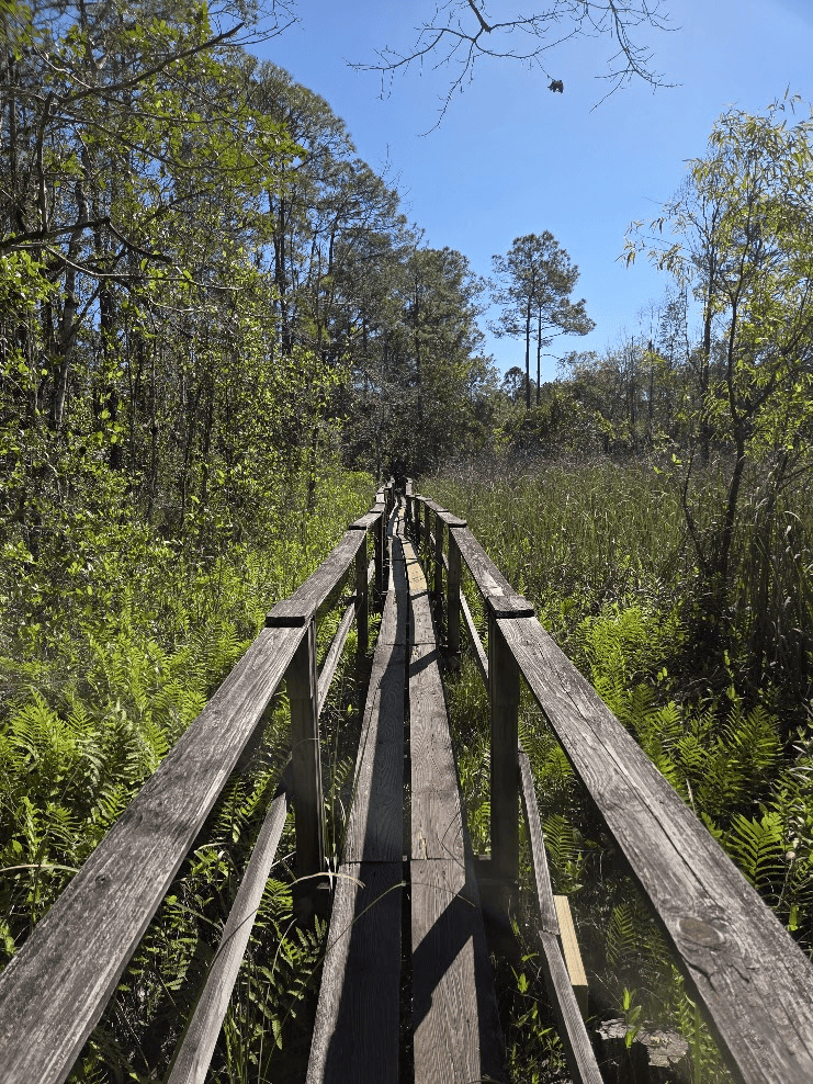 Trailsmaxxing: Turn Every Long Run Into an Adventure
