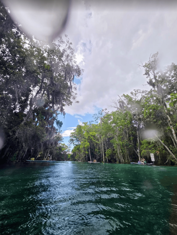 Three Sisters Springs Florida: What to Know Before You Go