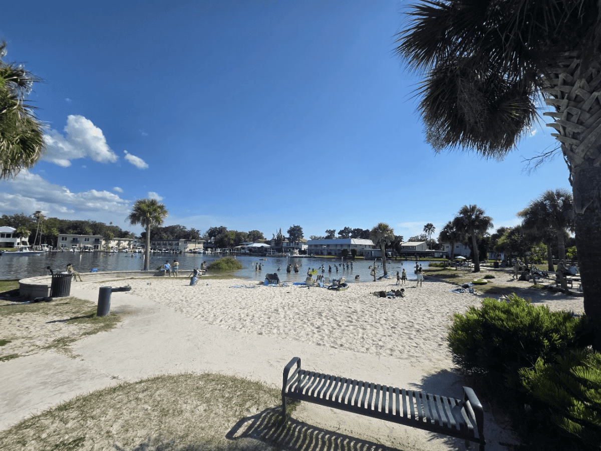 Hunter Springs: Complete Guide to a Quick-Stop Park