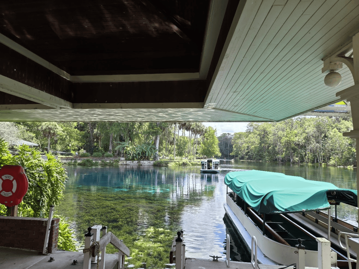Silver Springs State Park Florida: Complete Visitor Guide